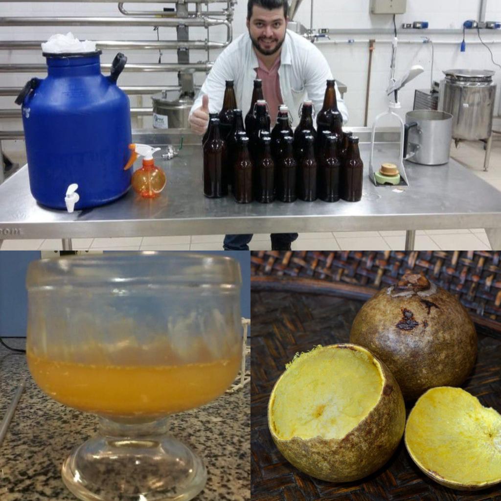 Cerveja de Bocaiuva