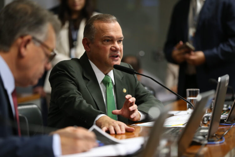 Decisão do STF vai acelerar aprovação de Estatuto do Pantanal