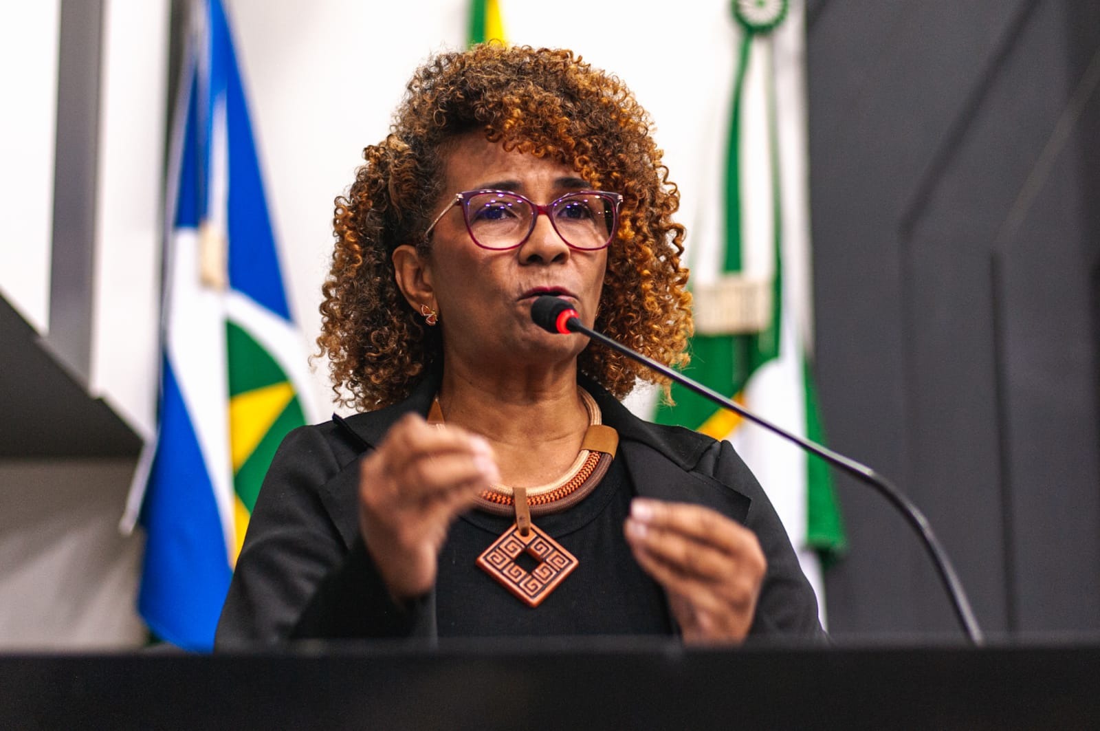 Deputada sai em defesa de vereadora investigada por suposta ‘rachadinha’