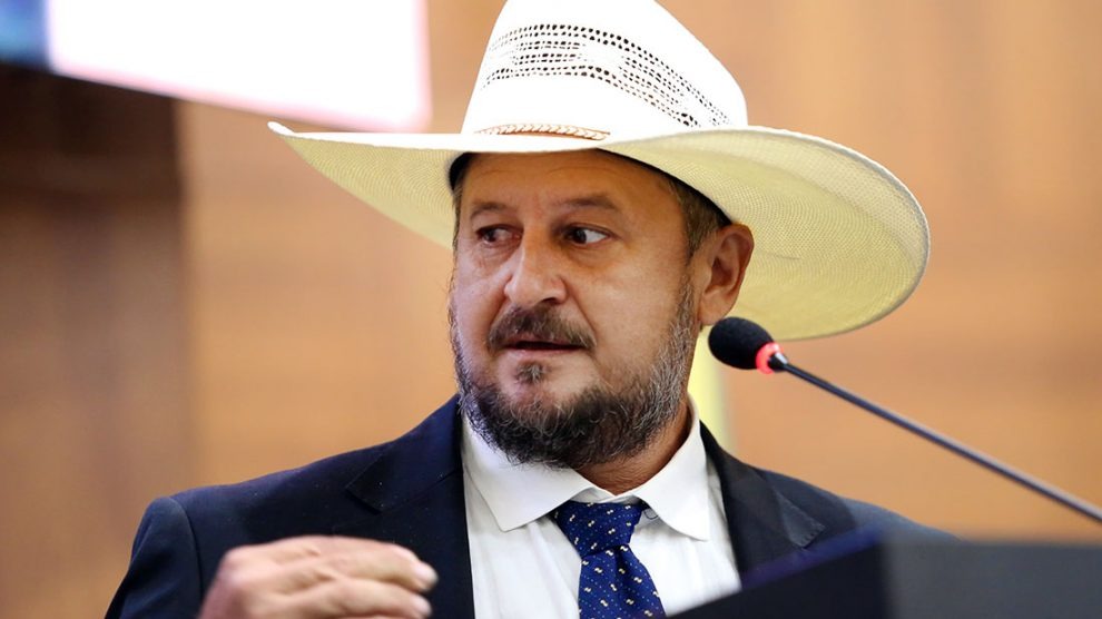 Deputado defende aliada e diz que investigação contra bolsonaristas é 'pura fantasia'