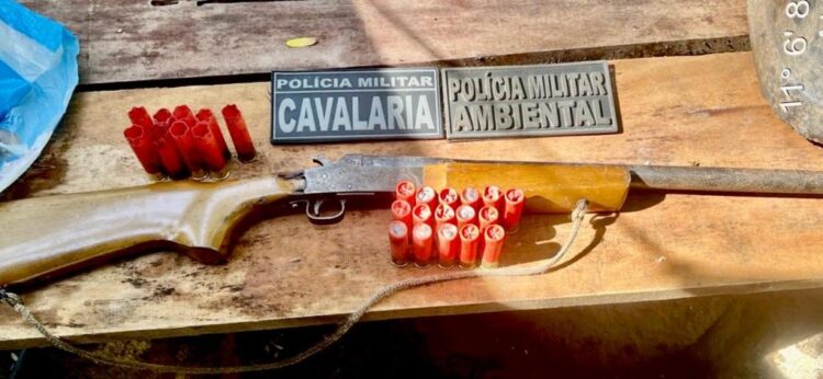 Dois são presos por extração ilegal de madeira e porte ilegal de arma