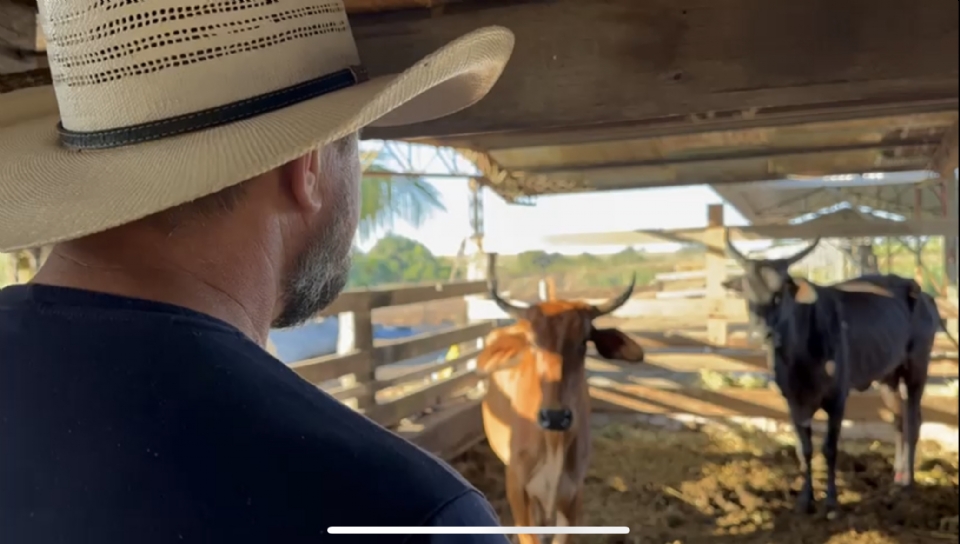 Em nota Janaina Riva classificou o vídeo de Cattani de "misógino e preconceituoso" e cita conselho de ética