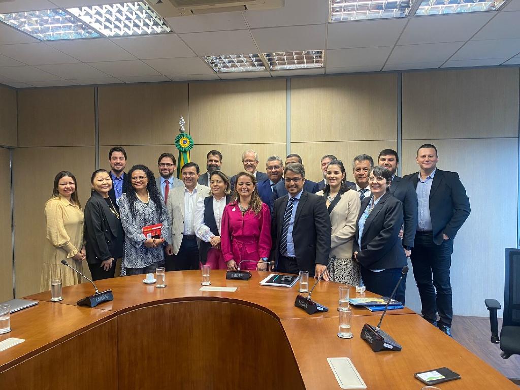 Em reunião com Ministério, Mato Grosso cobra combate ao desmate ilegal nas áreas federais