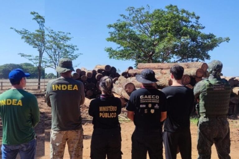 Força-tarefa ambiental realiza perícias e diligências em áreas rurais de MT e confisca cargas de madeira