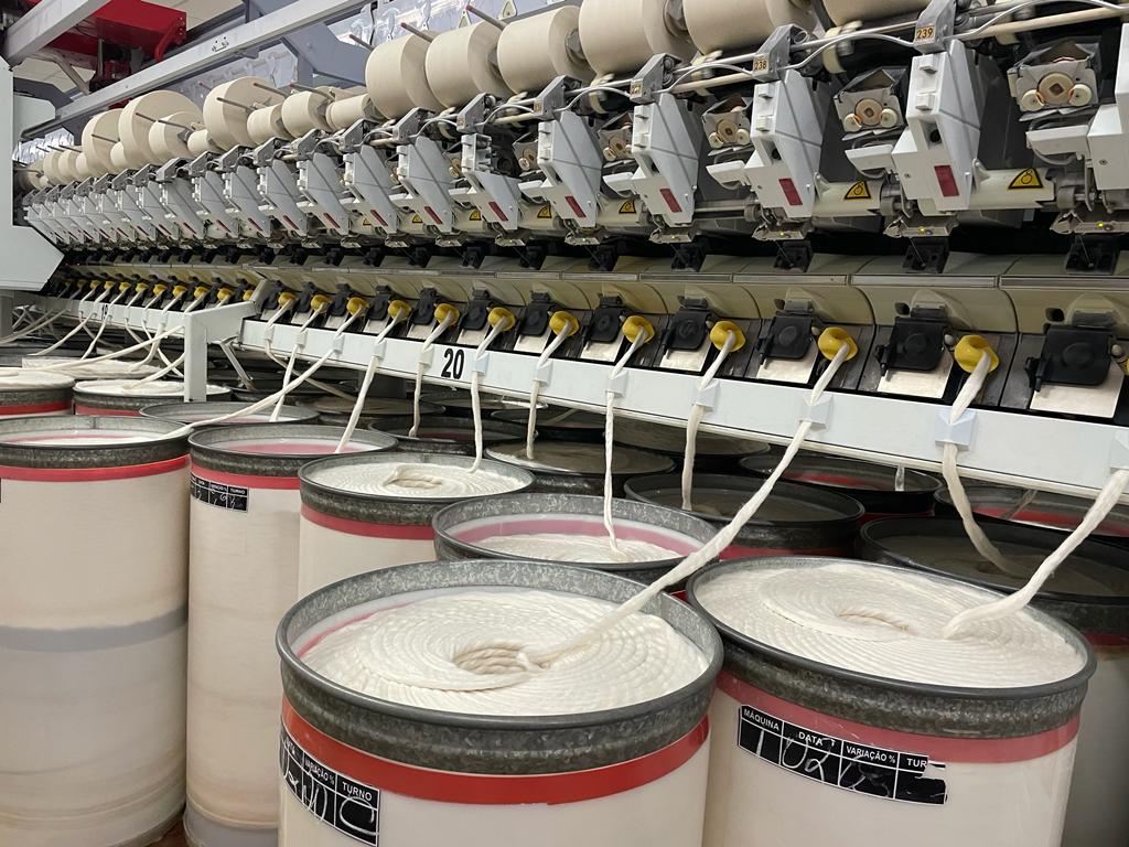 Governo de MT busca dobrar número de indústrias de beneficiamento de algodão até 2024