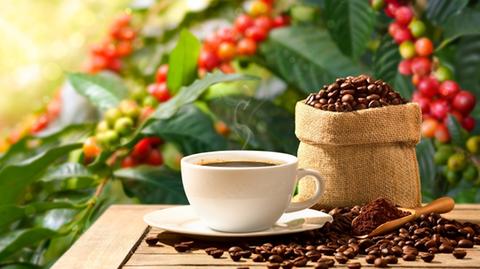 Governo divulga lista com três marcas de café impróprias para consumo; veja quais