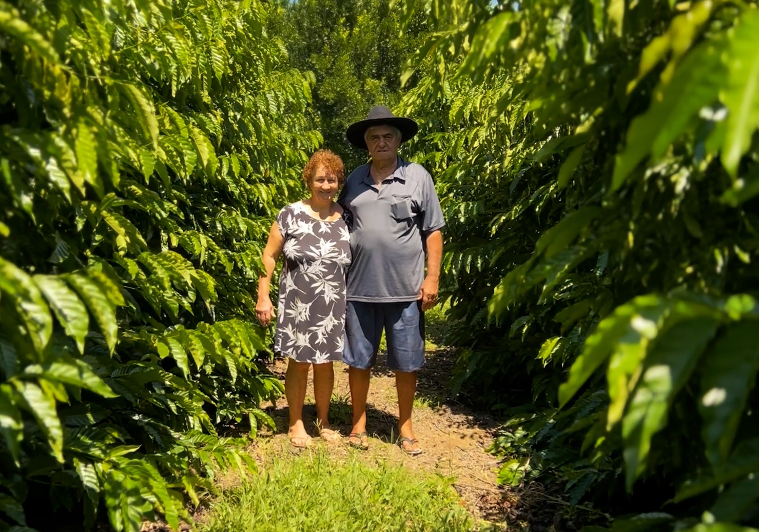 Investimento do Governo de MT impulsiona produtores de café do estado