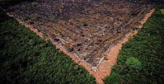 Justiça determina reintegração de posse da terra undígena Piripkura em MT