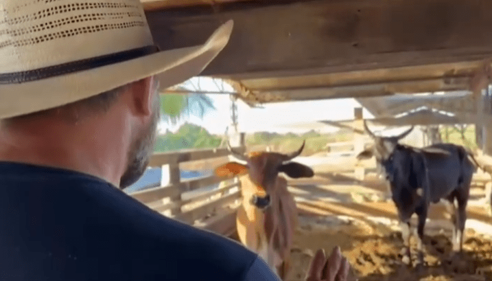 Mais uma do Cattani ; Deputado pede desculpas as suas  vacas por tê-las comparado com Feministas