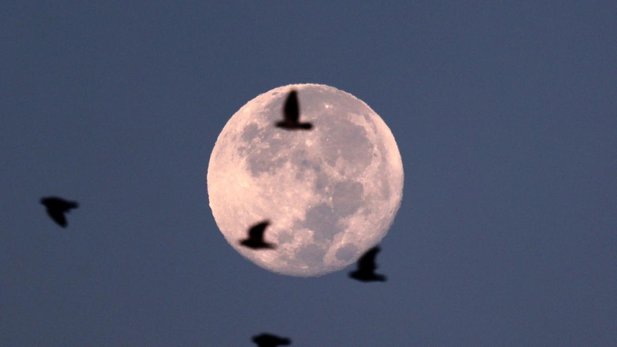 Maior superlua de 2025 acontece hoje (5); saiba como ver