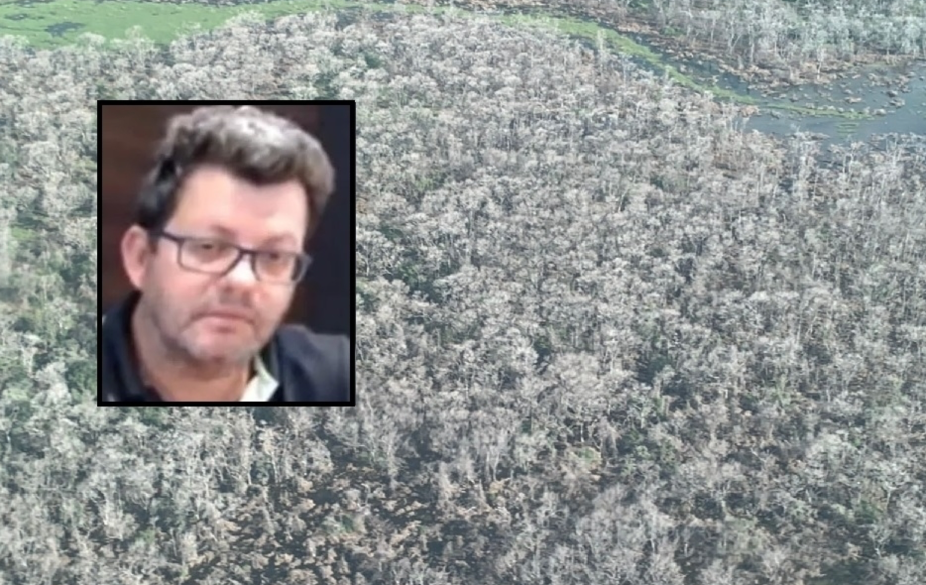 MP aponta má-fé de pecuarista que desmatou 80 mil hectares do Pantanal e que ele mantém atividades em áreas interditadas