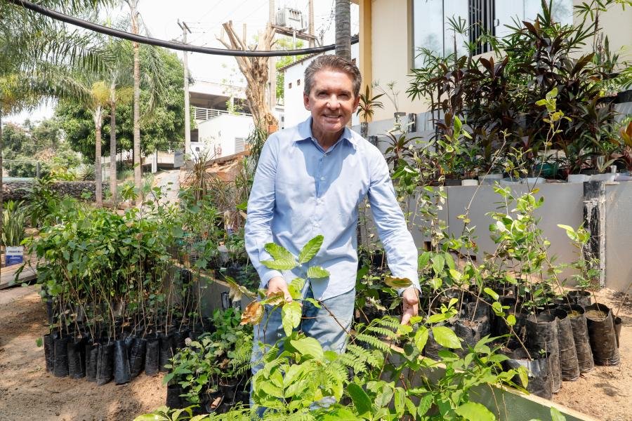 TCE-MT distribui mudas e encerra semana de eficiência energética com foco em sustentabilidade