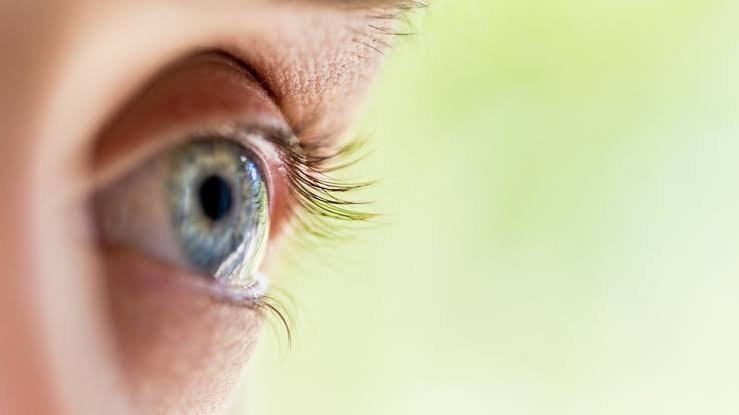 Doenças da Retina: Como o Diagnóstico Precoce Previne a Perda Irreversível de Visão