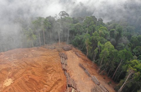 Ministério Público do Trabalho investiga desaparecimento de trabalhador rural em fazenda na fronteira entre Mato Grosso e Pará