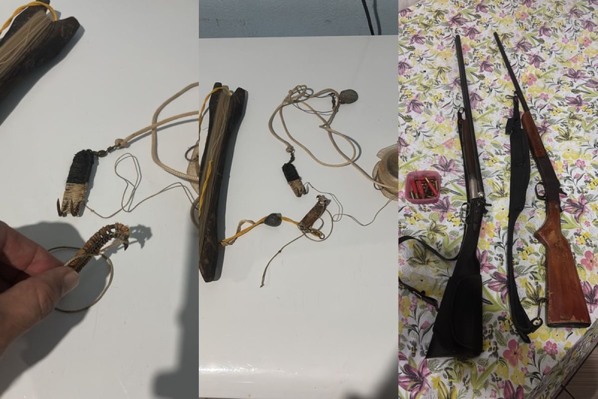 Operação da Polícia Civil combate caça ilegal de tartarugas no Parque Estadual do Araguaia em MT