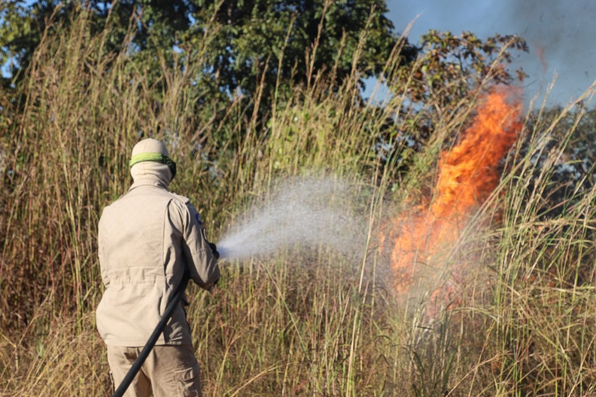 Bombeiros Militares Combatem Incêndios Florestais em Nove Municípios de Mato Grosso
