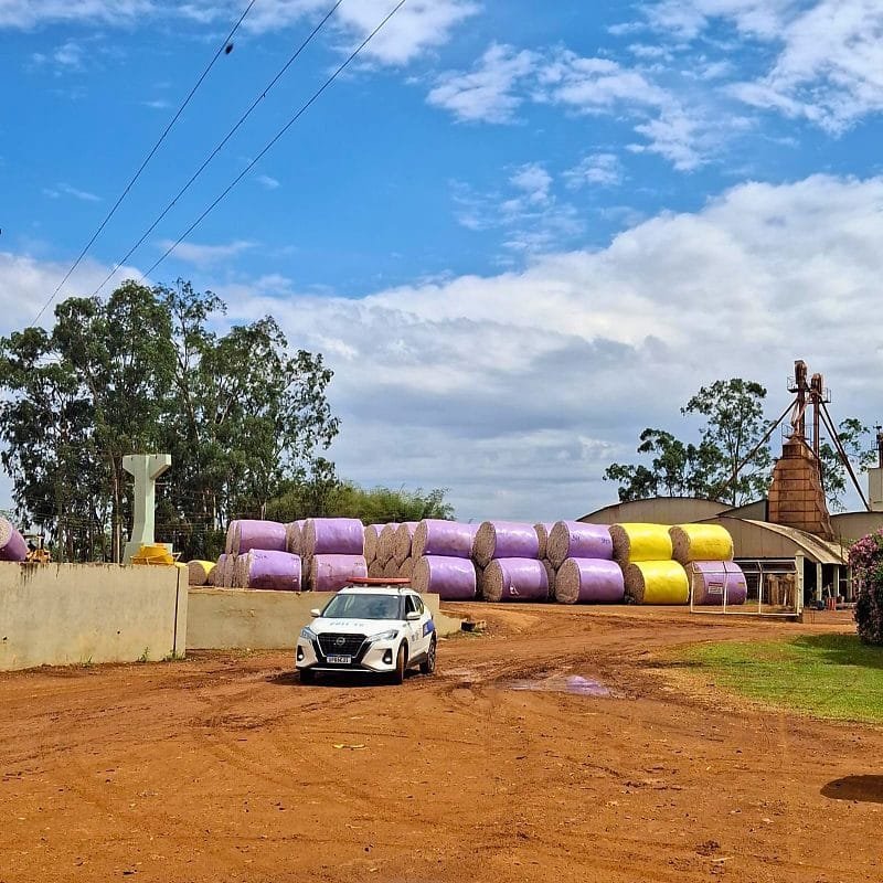 Operação Energia Limpa flagra furto de eletricidade em grande algodoeira e fábrica de ração em Mato Grosso