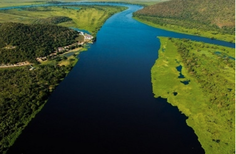 Novo projeto de Lei para proteção do Pantanal é confeccionado e proposta será encaminhada à ALMT; confira alterações