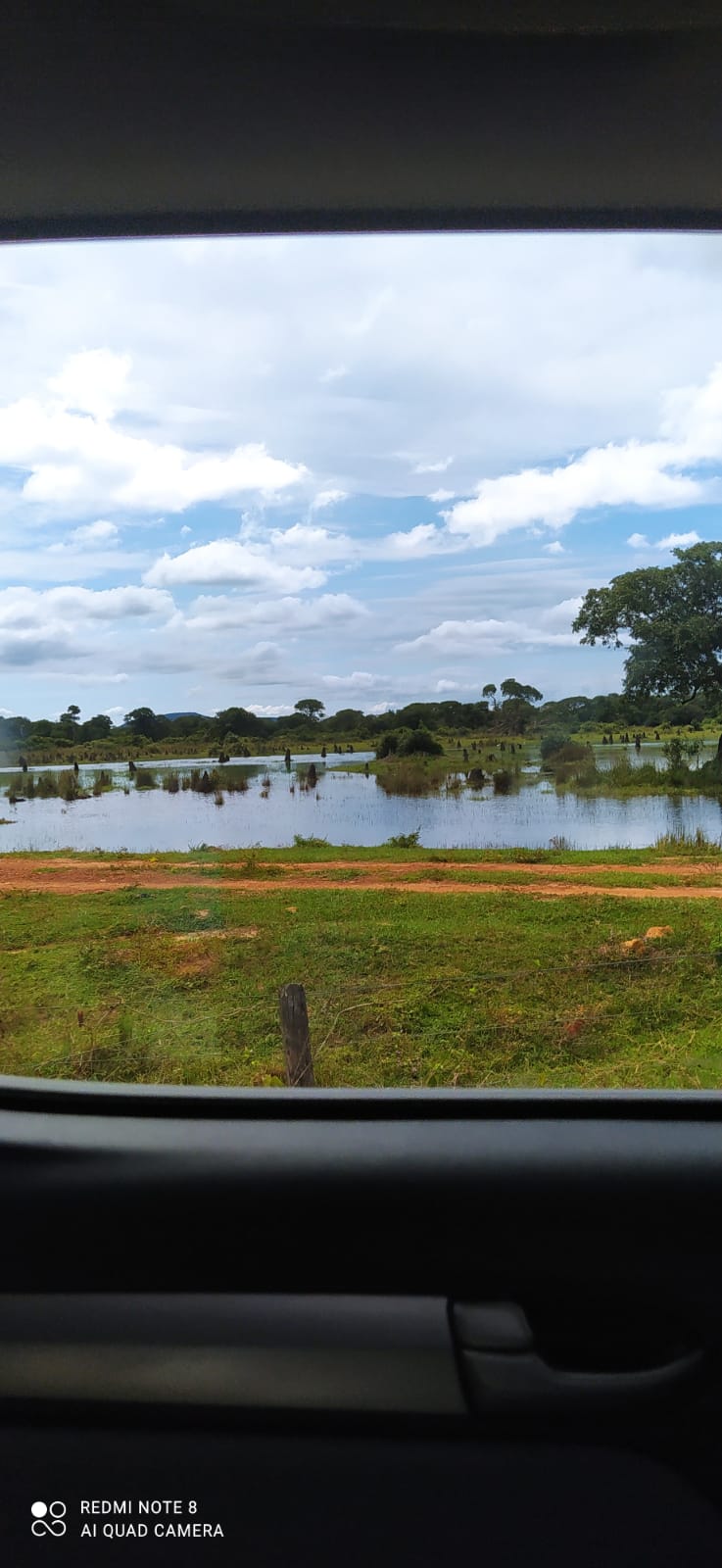 Pantaneiros se preocupam com projeto de lei que proíbe lavouras comerciais no Pantanal,