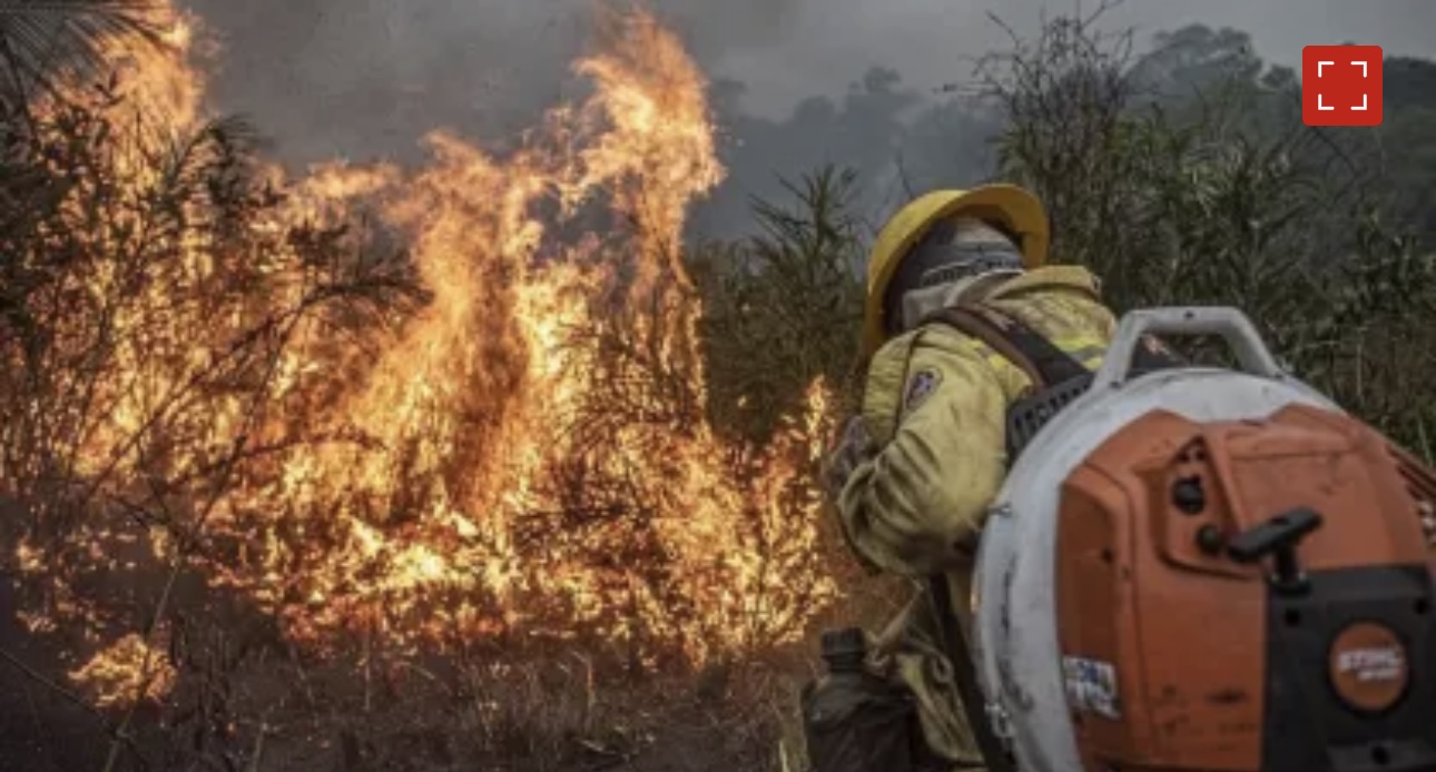 Pena maior e crime hediondo: mais de 40 projetos no Congresso miram autores de incêndios criminosos