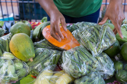 Proposta pela AL, Lei que fomenta  o empreendedorismo em produção agroecológica é sancionada pelo Governador
