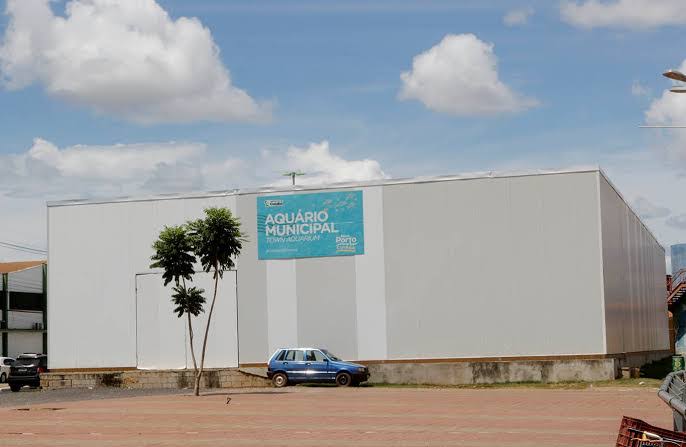 Quase estatizou o aquário