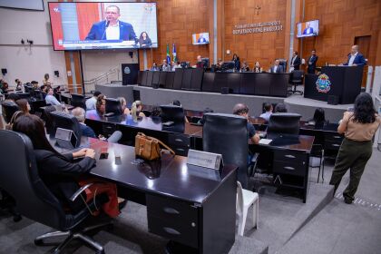 Relatório Anual de Gestão (RAG) de 2024 é apresentado em audiência pública
