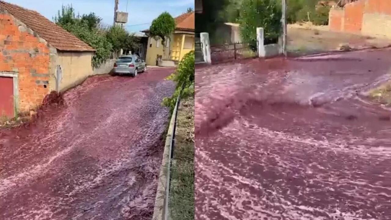 'Rio de vinho tinto' inunda cidade de Anadia, em Portugal, após depósitos estourarem; veja vídeo