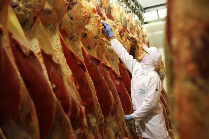 Rússia retira embargo à importação de carne bovina brasileira