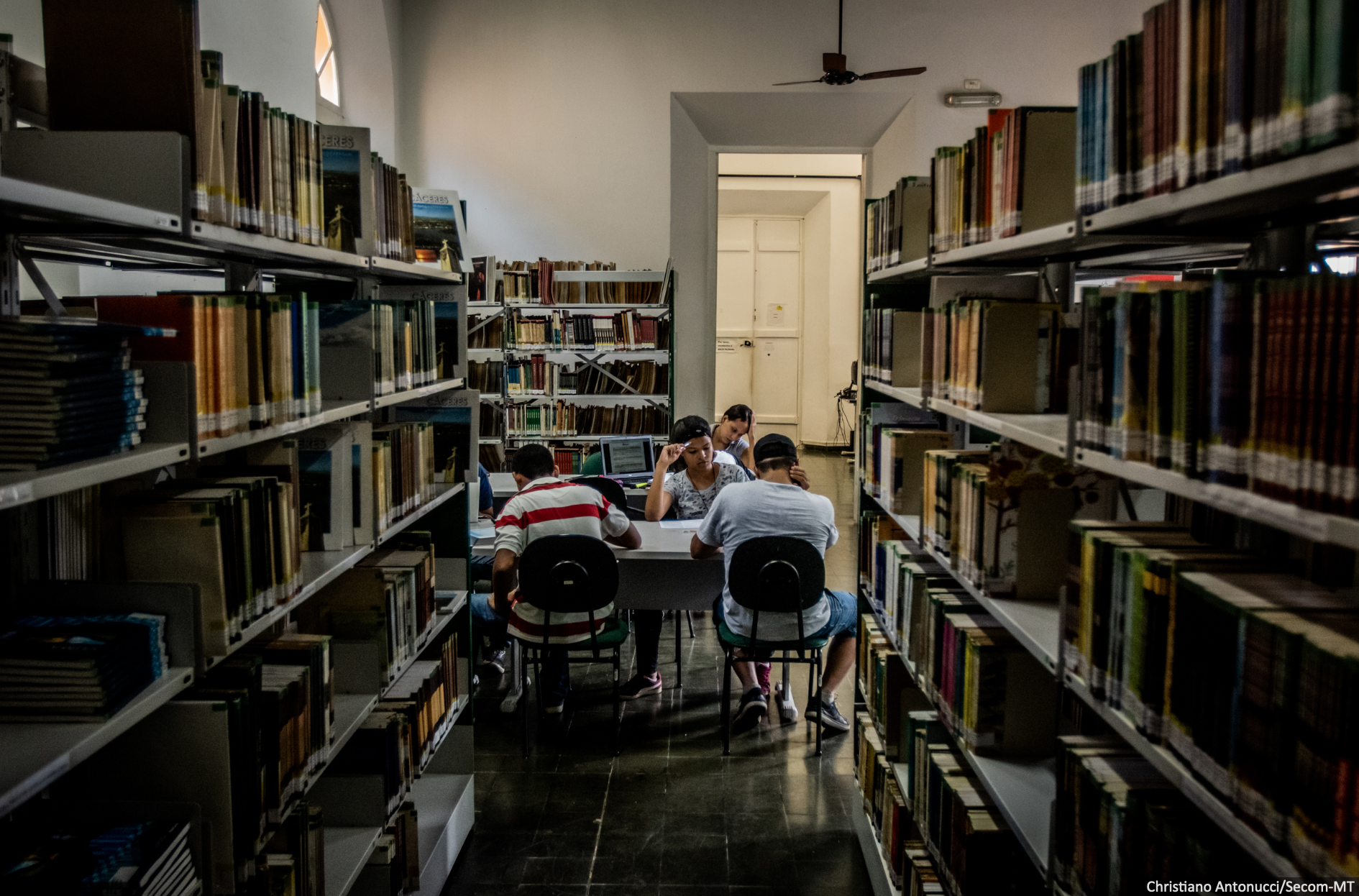 Secel abre processo para solicitações de apoio com foco na modernização de bibliotecas públicas municipais