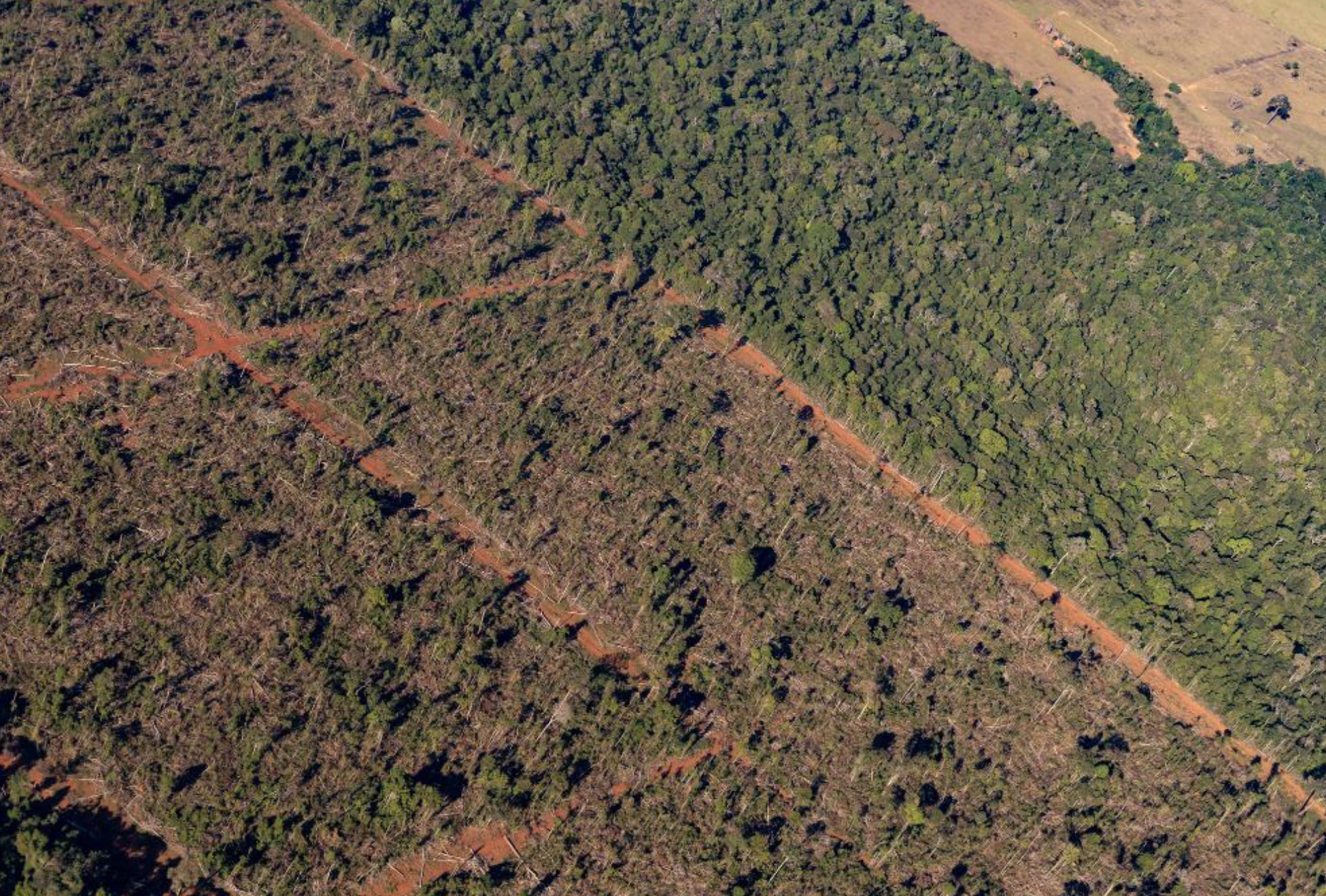 Sema embarga 1,86 milhão de hectares por crimes ambientais de 2019 a 2024