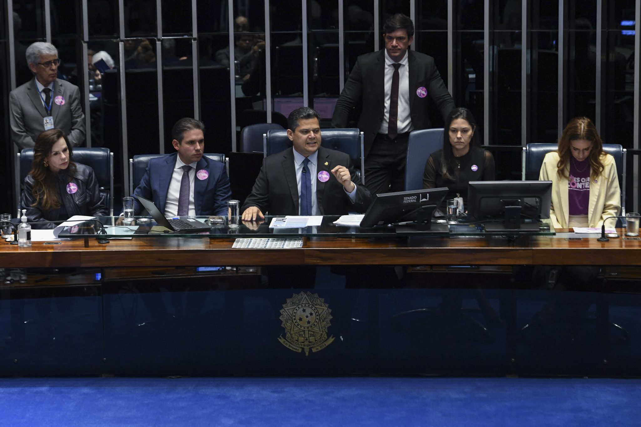 Senado aprova guarda compartilhada de animais de estimação em caso de divórcio; entenda