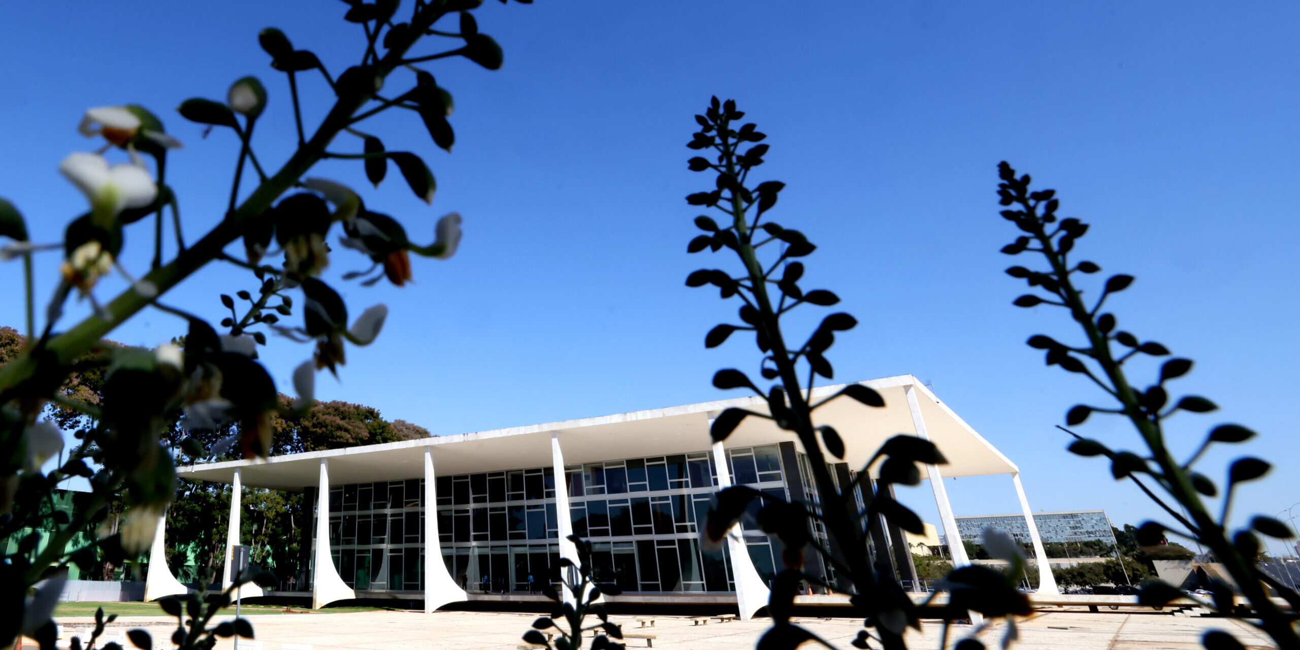 STF suspende nomeações de parentes do governador do Maranhão em cargos públicos do estado