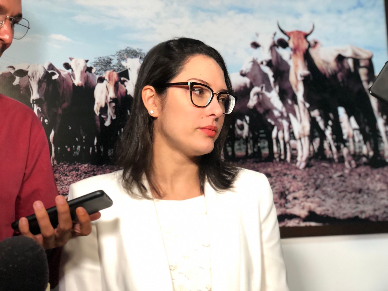 Única deputada da AL, Janaina quer integrar comissão contra Cattani