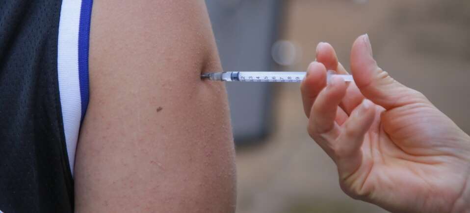 Vacina contra dengue deve entrar no SUS ainda este ano