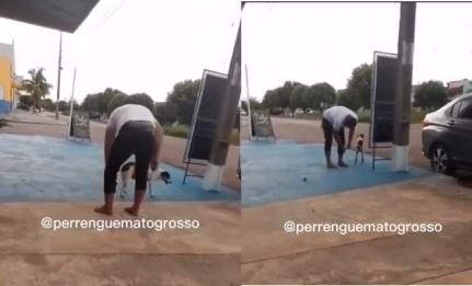 Vereador amarra 'bombinha' em pata de cachorro; veja