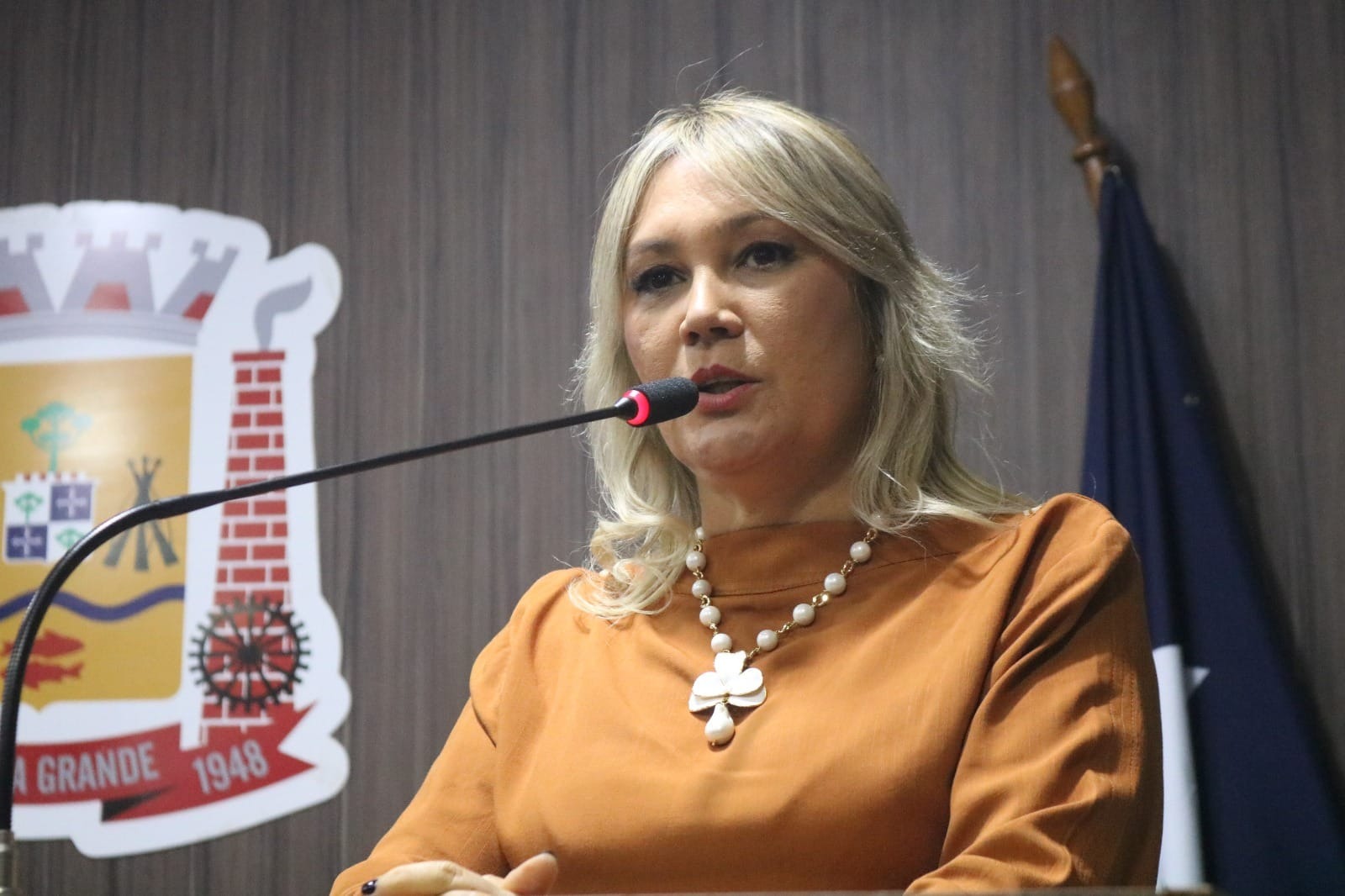 Vereadora de VG se 'desculpa' após denunciar 'enfermeiros baderneiros"