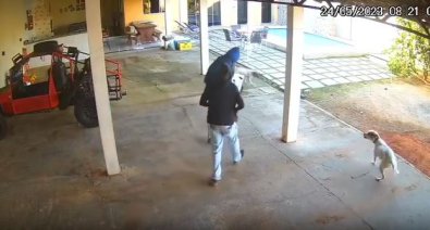 Vídeo flagra ladrões caindo na piscina após tentar roubar residência